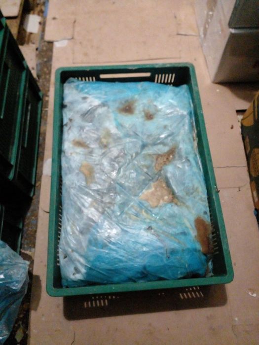 Корм для животных