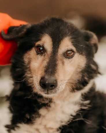 Waldek pragnie miłości i poczucia bezpieczeństwa... Dasz mu szansę?