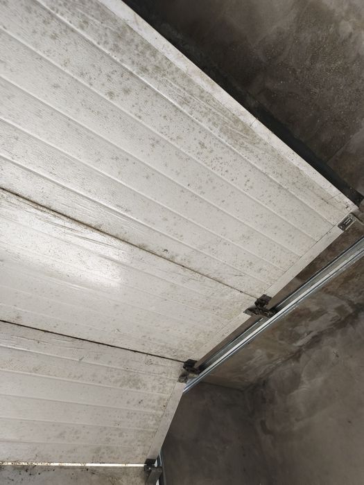 Porta selecionado de garagem basculante