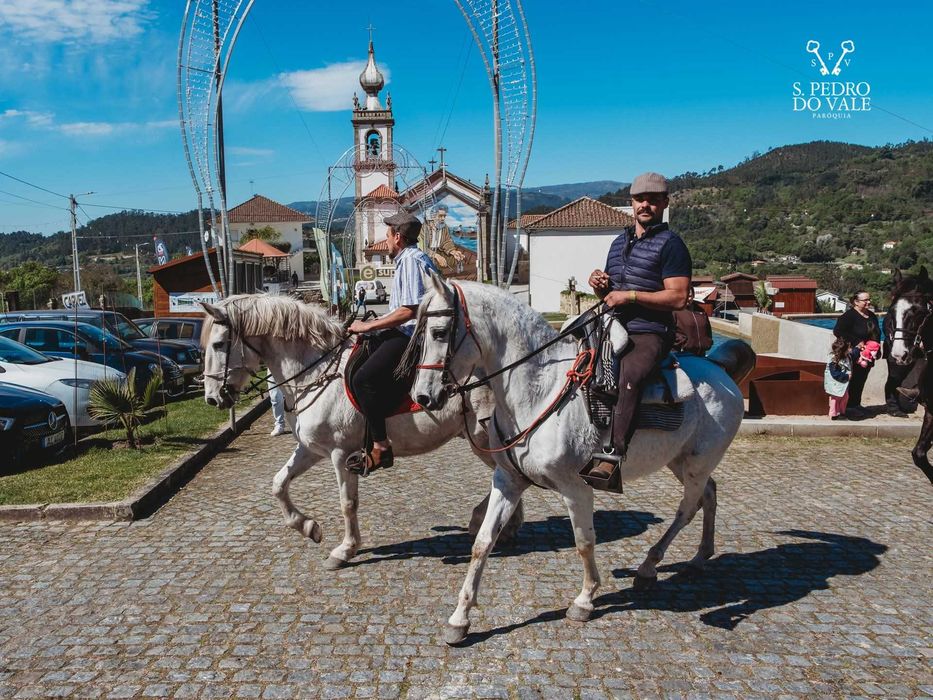 Égua árabe livro azul