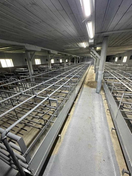 Ферма, господарські будівлі та споруди