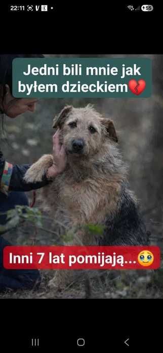 Już prawie miał dom… ale przegrał, bo nie umie zaufać od razu