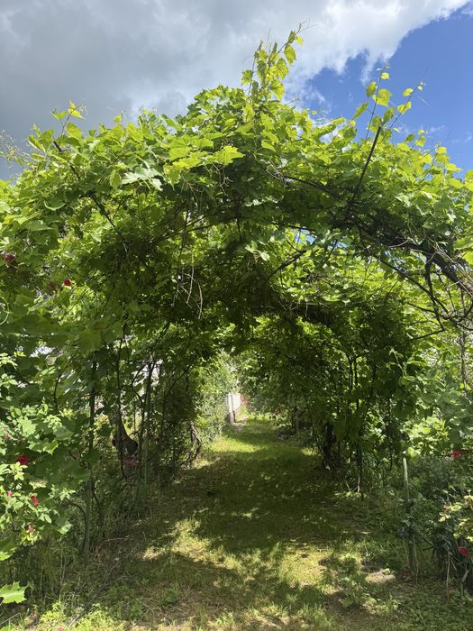 Продам будинок біля річки