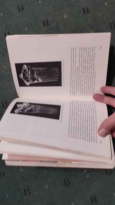 A Arte Nova - B. Champigneulle