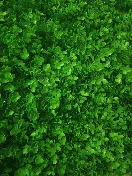 Panel dekoracyjny zielona ściana eukaliptus 40x60 razy 4