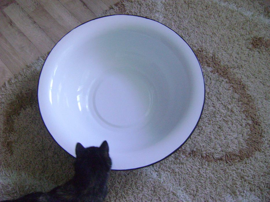 Таз емалірований великий 18-20л діам.56см вис. 16см