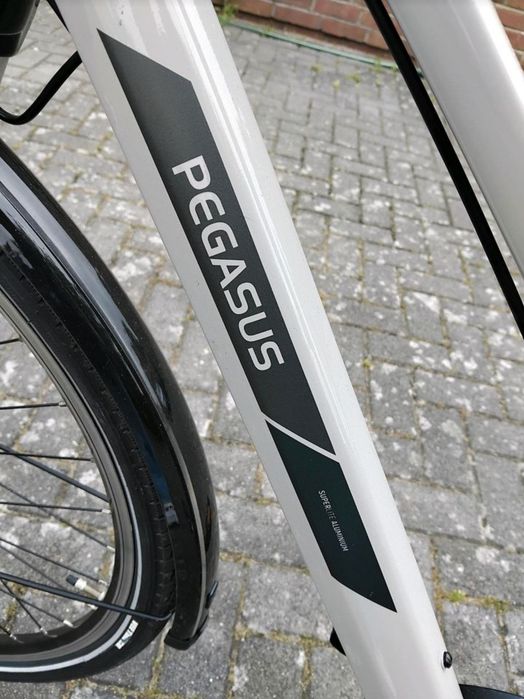 Pegasus Solero SL