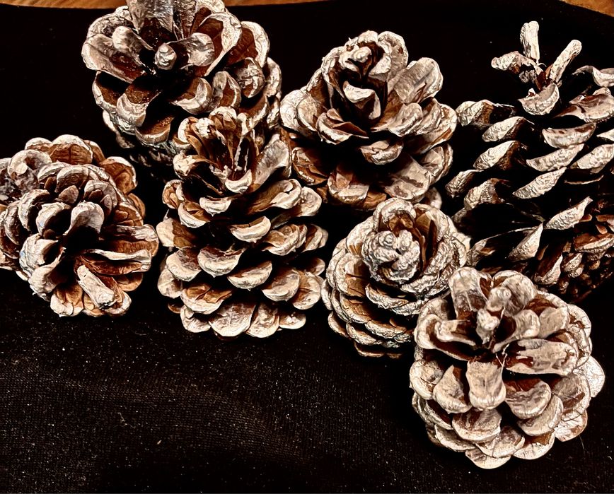 Шишки сосновые жёлуди   розница