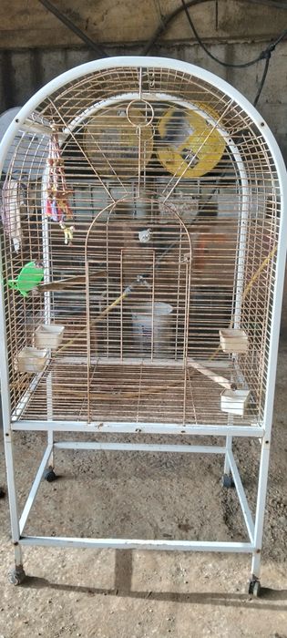 Gaiola grande para restaurar