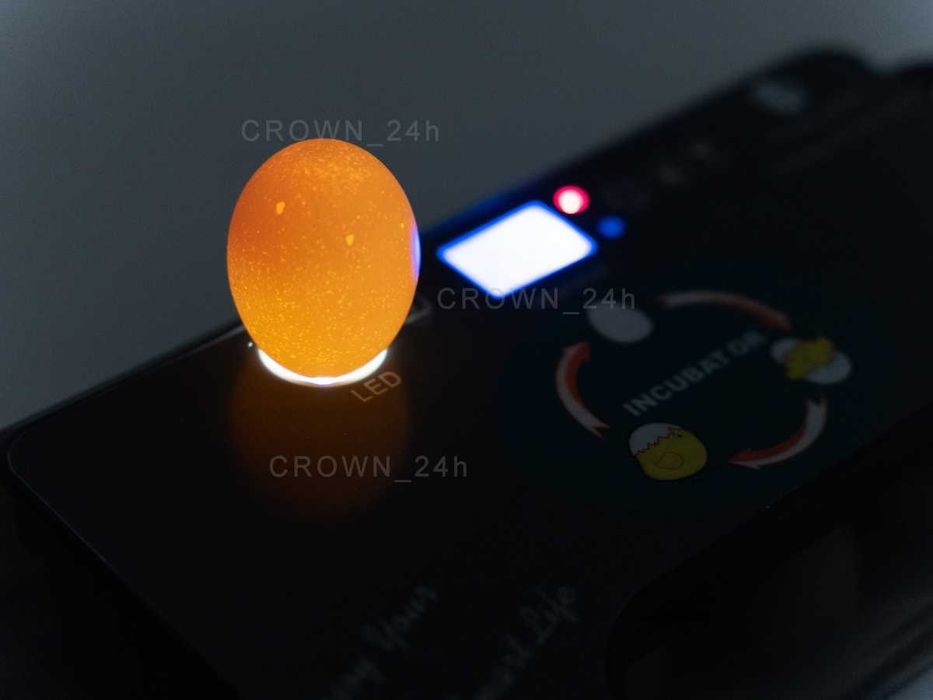 INKUBATOR AUTOMAT do 12 jaj klujnik dla Indyków Kaczek Bażantów Kur