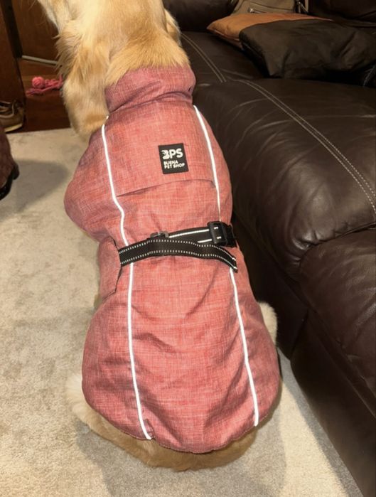 Capa impermeavel para cao