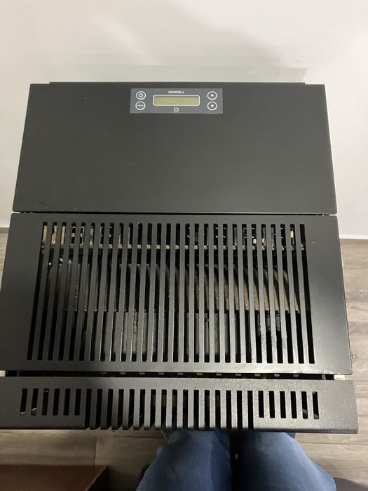 Salamandra a pellets com 3 anos