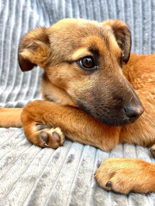 Неймовірно ніжна Амі шукає найкращих людей!