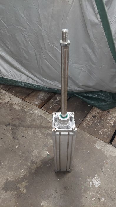 Siłownik pneumatyczny Festo DNC-100-300-PPV-A