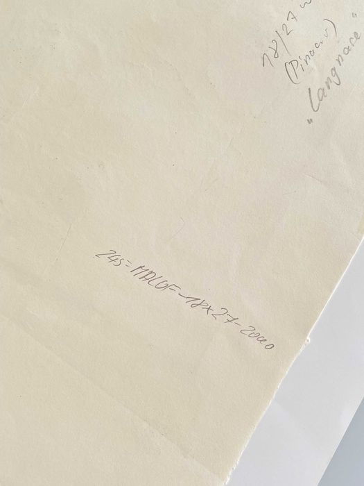 akryl MINIMALIZM 2000 CIESLAK Langnase tajemna kolekcja UNIKAT obraz