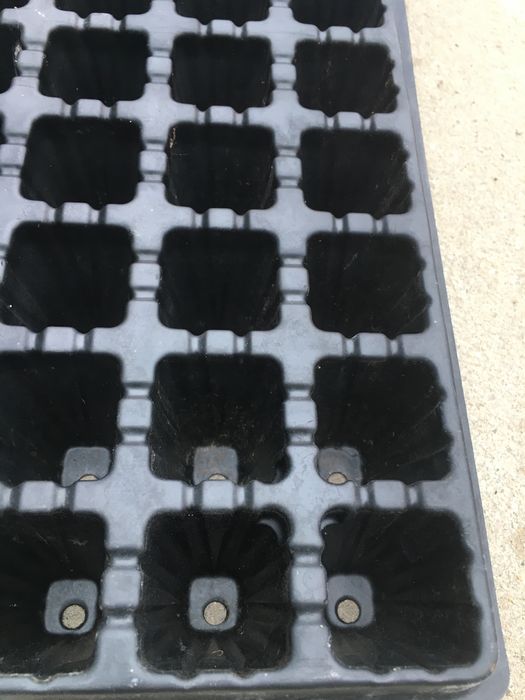 Multiplaty sztywne 112