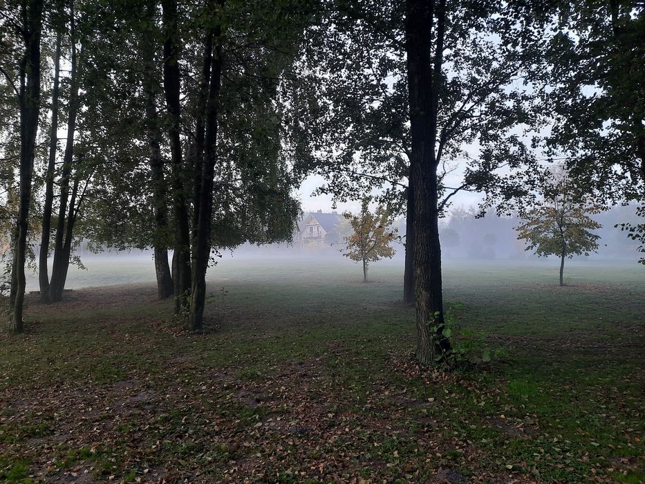 Dom Nad Łowiskiem, i jezioro Powidzkie, domek do wynajęcia łowisko