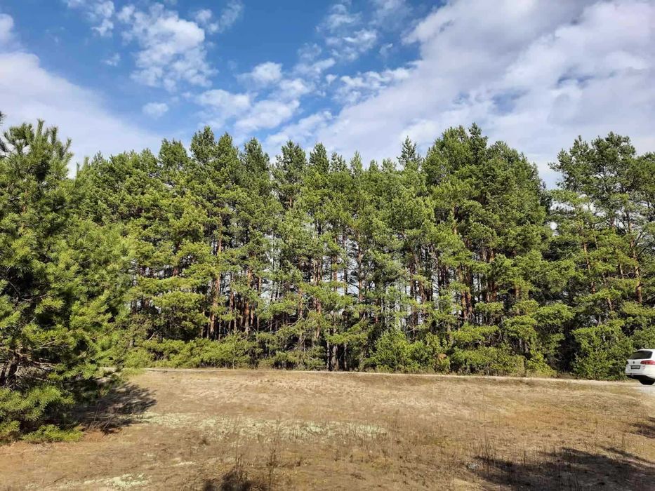 Димер, 50 соток з лісом, ОСГ. Супермісце.!