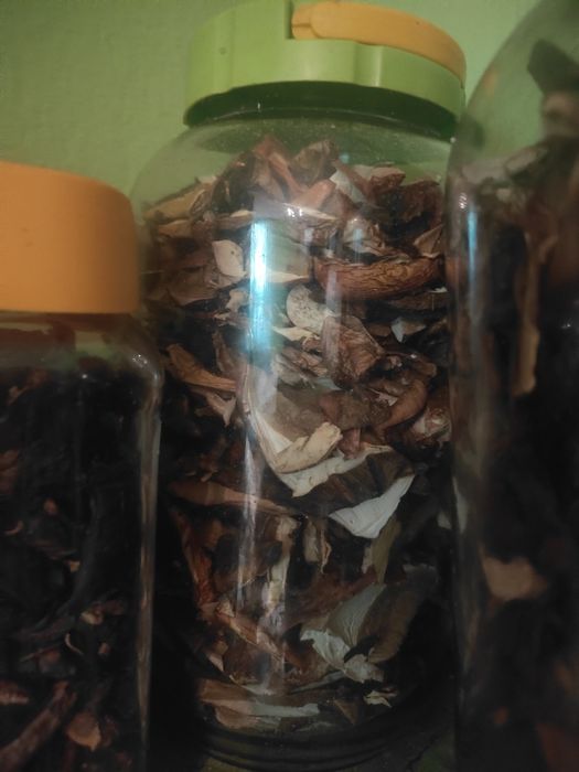 Grzyby suszone  2025