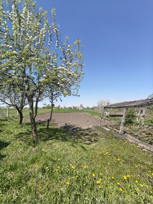 Продам будинок в селі Ліщин