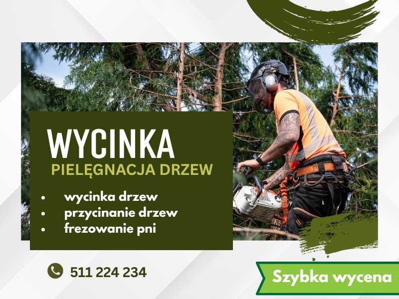 Wycinka drzew Jaktorów | Grodzisk Mazowiecki | Międzyborów