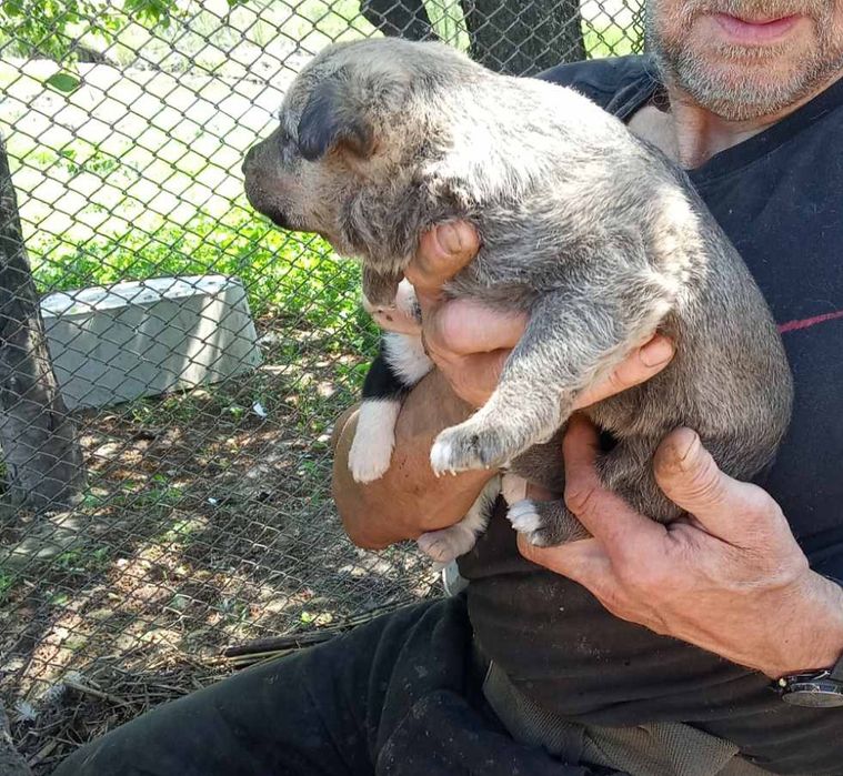 Бесплатно классные малышки