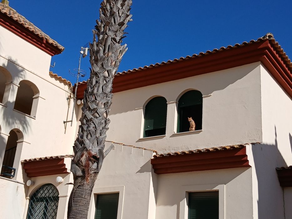 Quarto em apartamento cobertura com terraço 70m² e piscina  Ayamonte