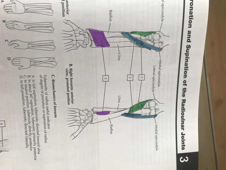 3 Manuais de Medicina para estudante