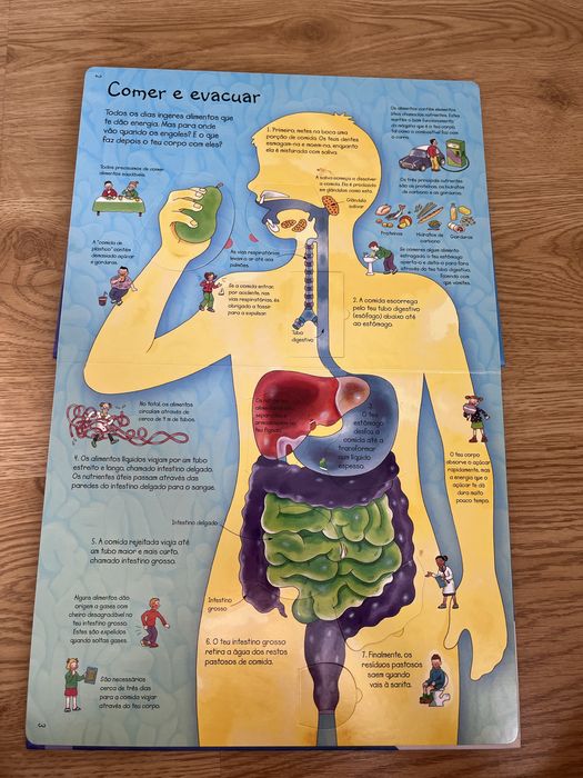 Livro do corpo humano