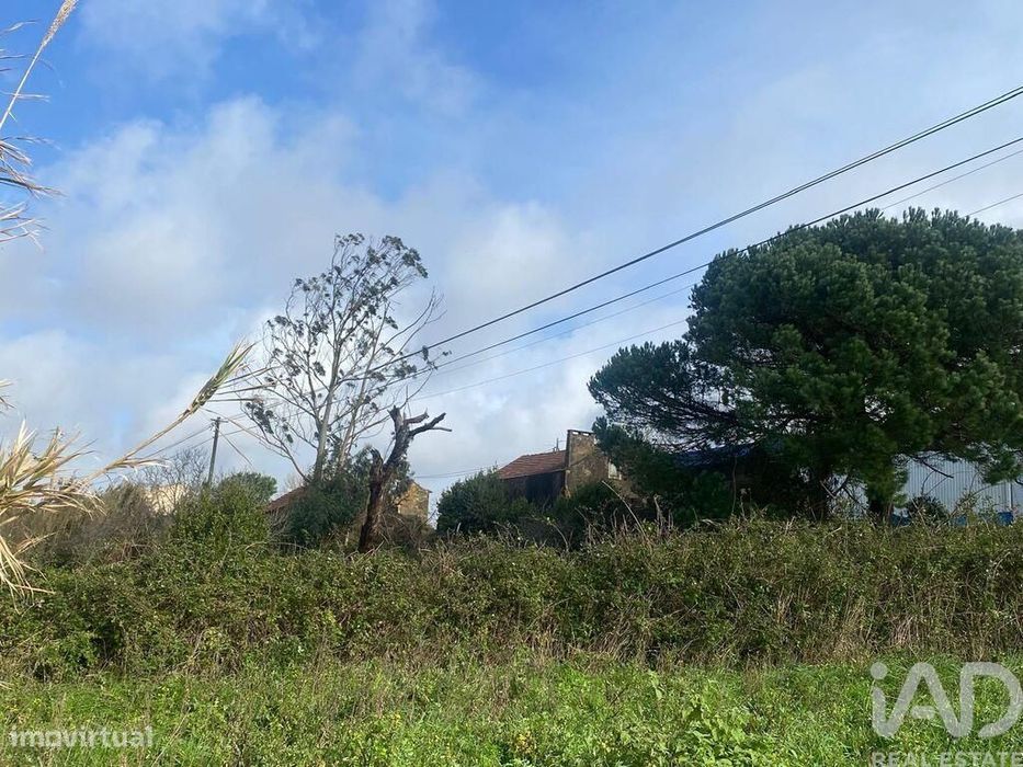 Casa de Campo em Roliça de 150 m2