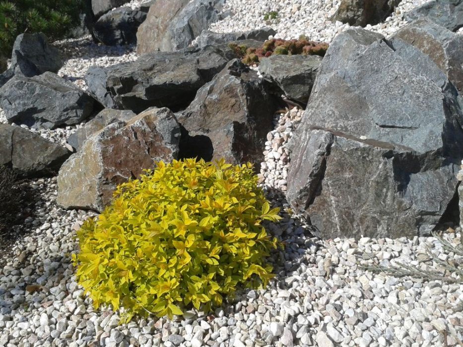 kamień ogrodowy, ozdobny grys dolomitowy jasno beżowo