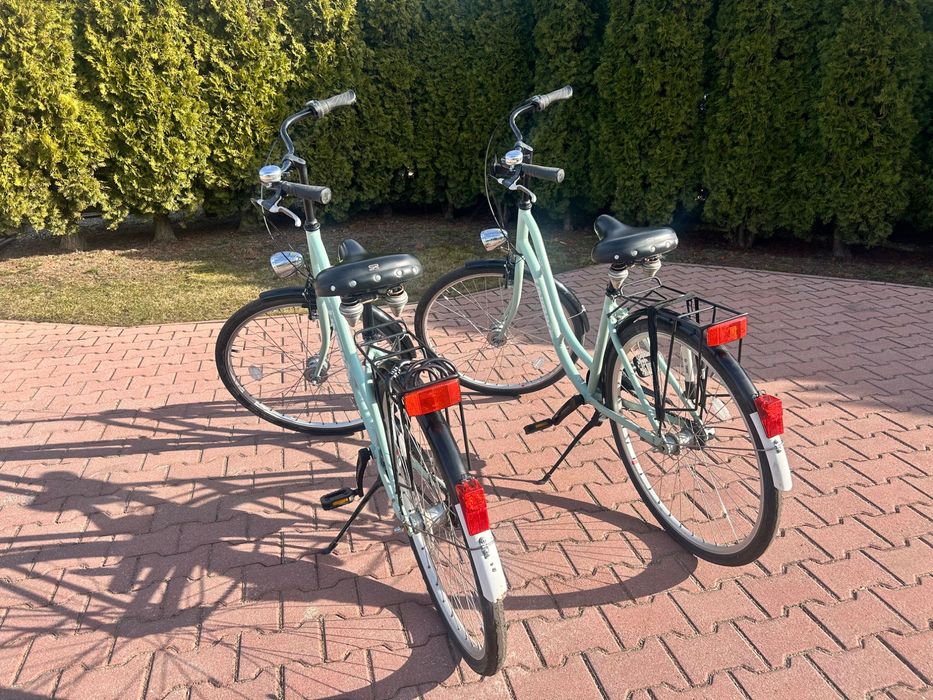 Rower UNIBIKE Retro City