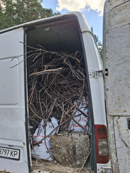 Вивіз сміття, розчистка ділянок під ключ
