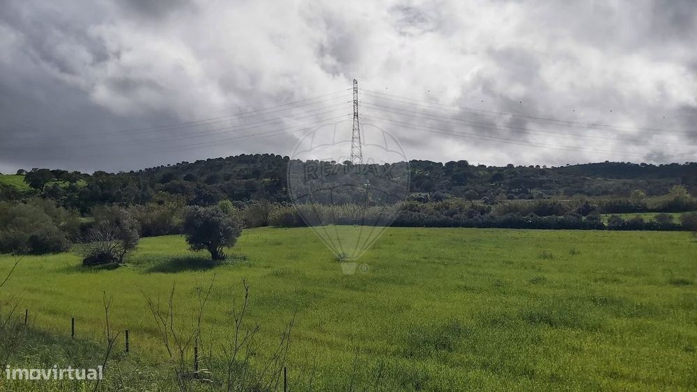 Terreno  para venda — São Bartolomeu de Messines, Faro