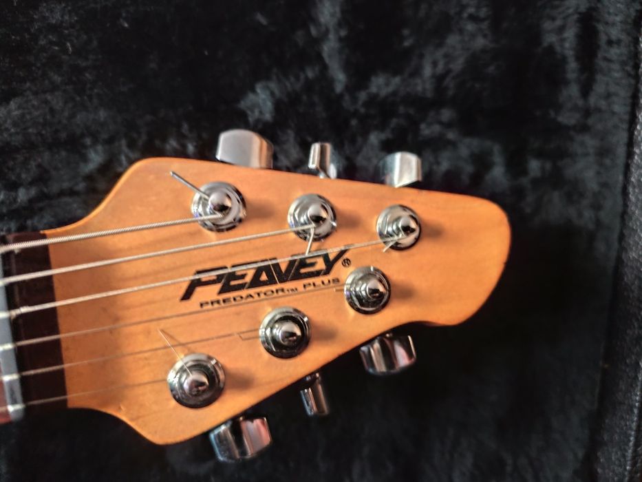 Peavey predator Plus doinwestowany
