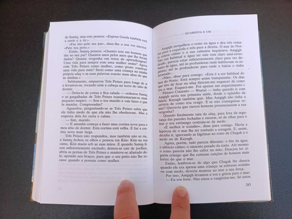 Livro "Minha Irmã a Lua", Sue Harrison