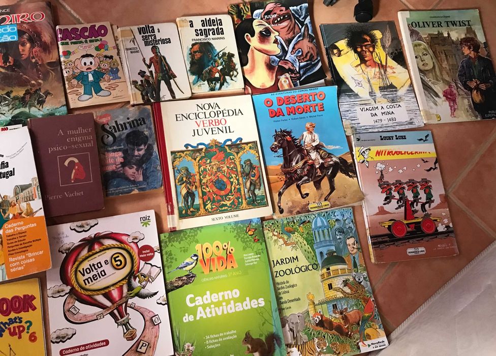 vendo o lote de livros da fotografia