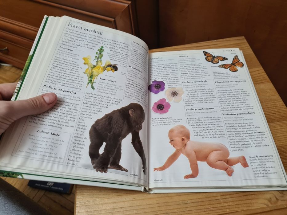 Ilustrowany słownik szkolny Biologia - David Burnie