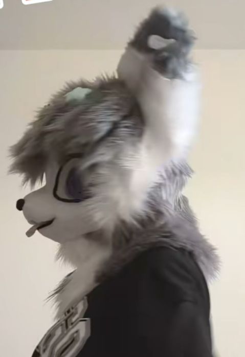 Furry Fursuit kemono cat