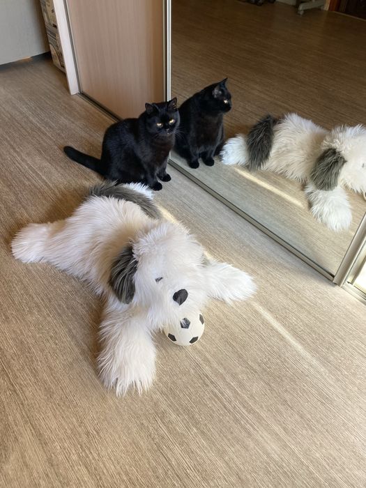 Мягкая игрушка собака, 70 см