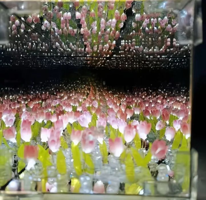 Світловий куб з тюльпанами