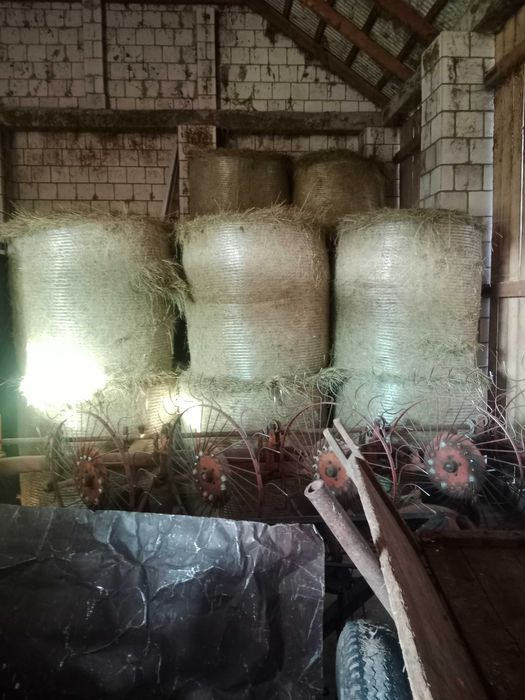 Siano kostka 7zl /baloty 150