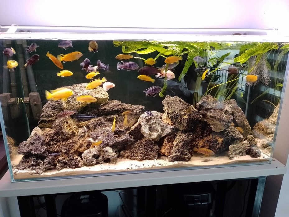 Sprzedam Akwarium 270l