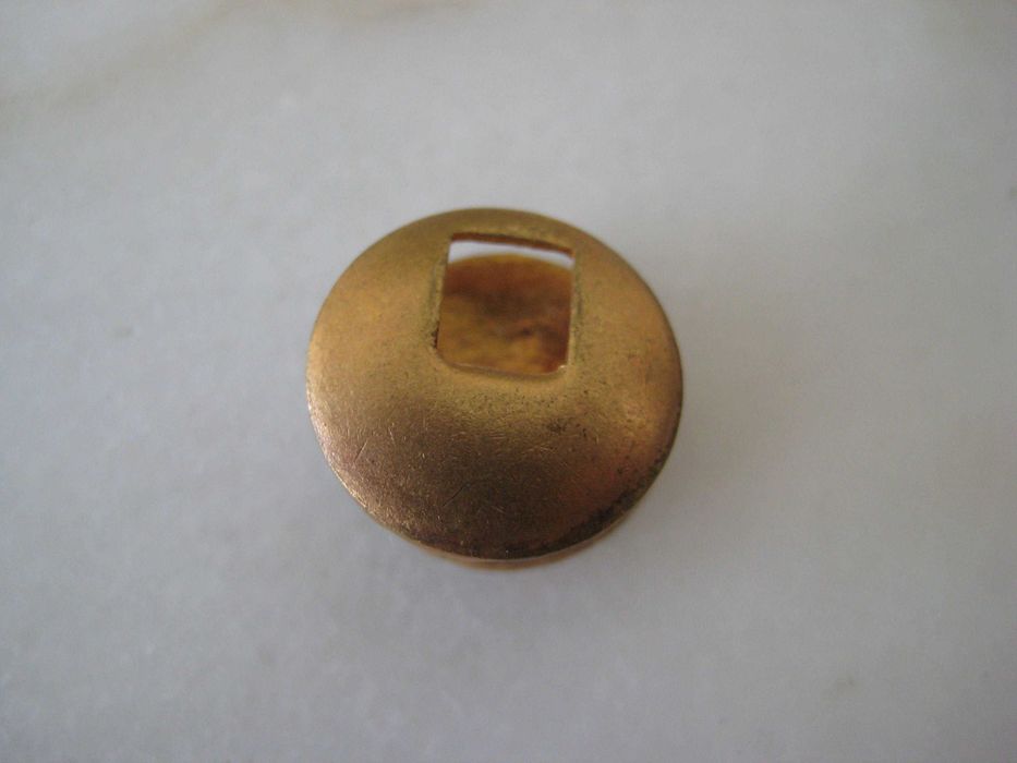 Pin/botão Lapela sociedade protetora animais, anos 80, estado novo