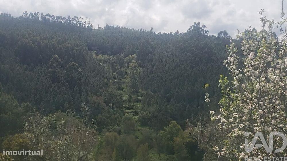 Terreno em Cardigos de 14450,00 m2