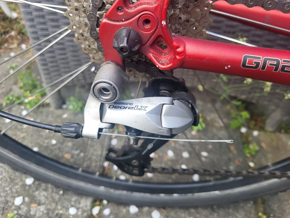 Gazzele Sport XR.2