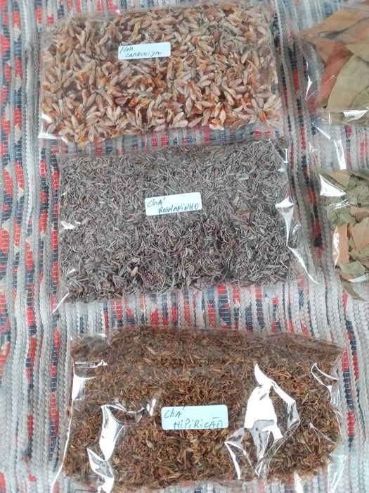 Salva em folhas e Tochas