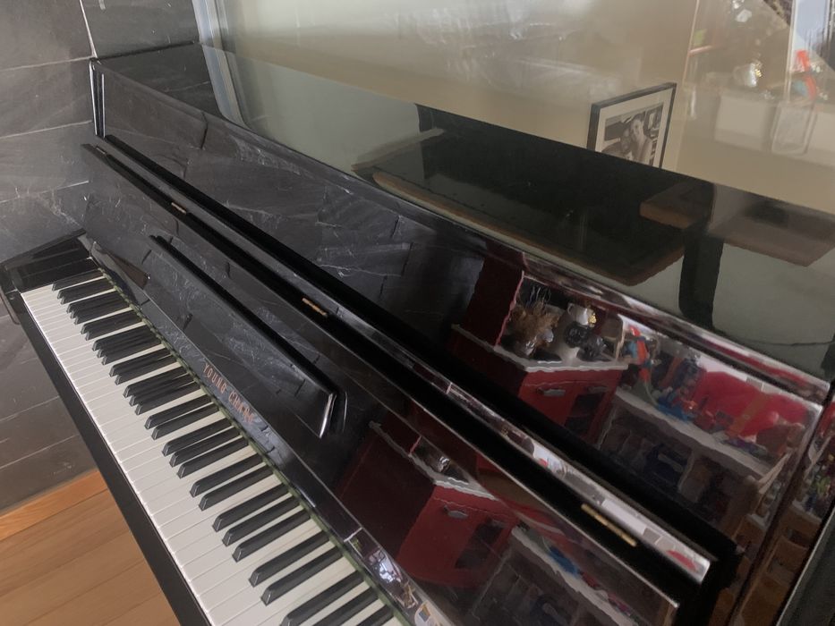 Piano Vertical Young Cheng