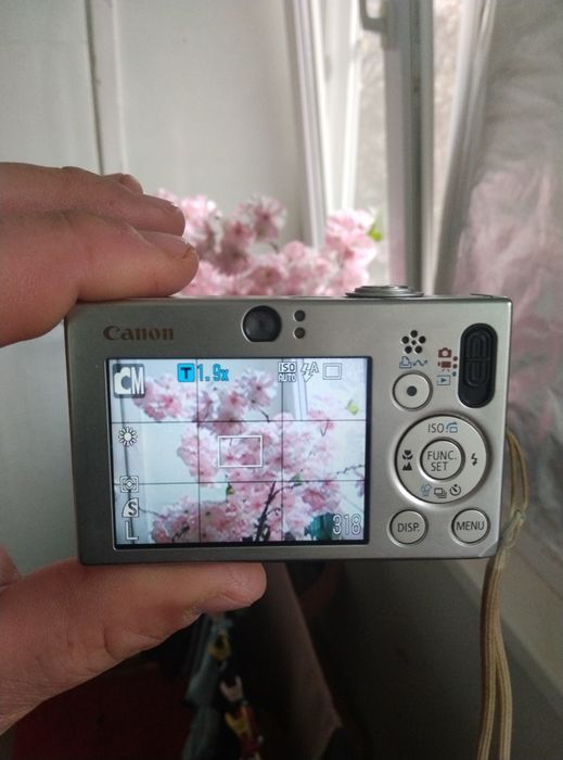 Canon Digital IXUS 70: 7.1 мегапикселей (CCD-матрица). Зум: 3-кратный