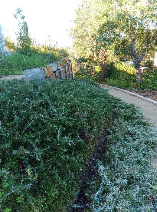 JardinsDm – Jardinagem  no Algarve